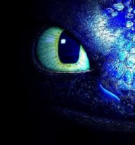 NightFuryFan