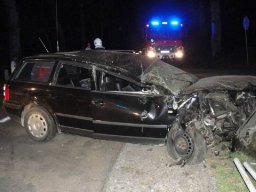 Crash Testowiec
