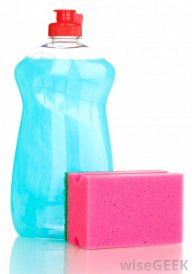 DaisyDishsoap