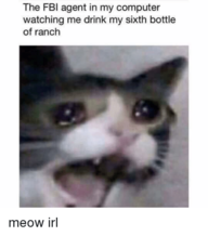 Flopkat