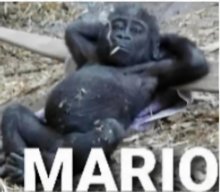 Maurizio2529205