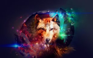 XtremeGaming