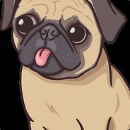 Mr Pug