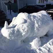 TheOnlySnowRhino