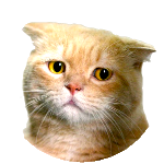 Jasiek22