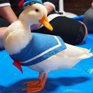 Du¢k