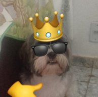 mmiojo545