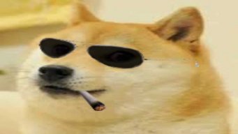 doge man
