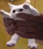 yeeeeeeeeeeeeeeeeeeee