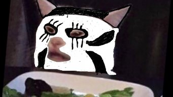your cat but metal