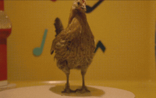 Polka Chicken