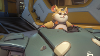 Hamster