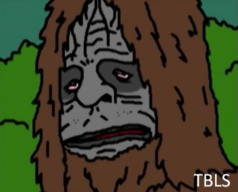 Bogwash