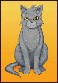 Republican Cat