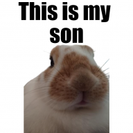 LittleLemon