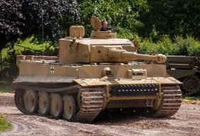 tiger_H1