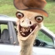 Cowboy Wiipe