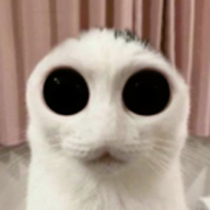 P-Nut