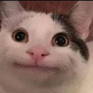 SnappyCat360