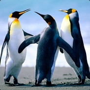 Nielsieboy03