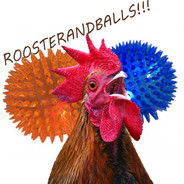 Roosternugget