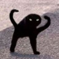 SynergyBoi