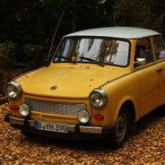 Mauerblume37