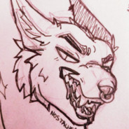 Harry Coyote