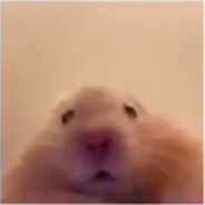 BananaDonkey134