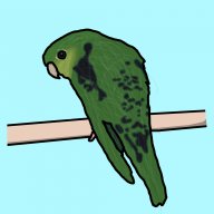 Perru