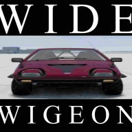 widewigeon