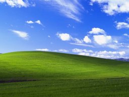 amirnub