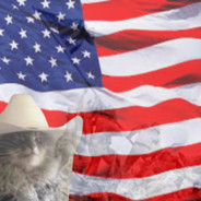 The Texan Cat