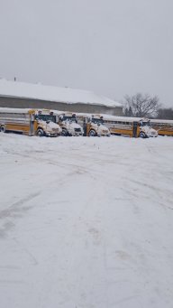Ryan739