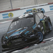 Calabrone_nero05