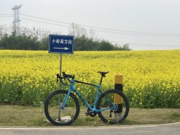 今夕彼谈