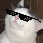 Jugghgjfgkhjf