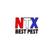 NTX Best Pest