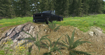 elcamino