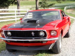The_Mustang_Wolverine