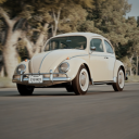 VwBug