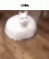 DarYus_ro