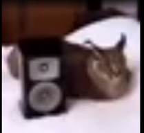 Gamer1426