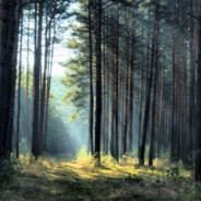 Rocky_Aspen6021