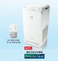 maylockhong24