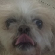 Ayo!