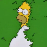 Somer Himpson