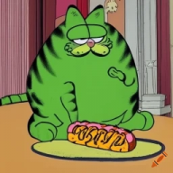 dudewholikescars