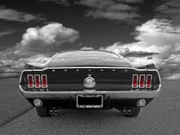 TheMustangMan