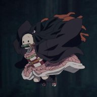 NezukoChan29